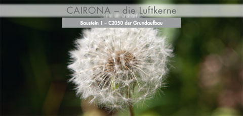 Cairona