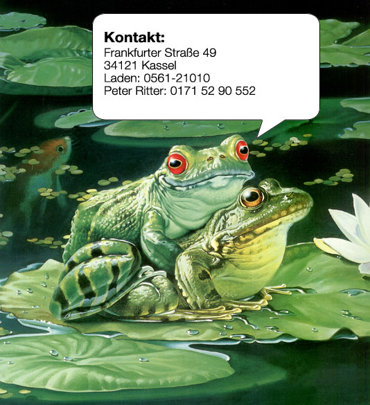 Kontakt