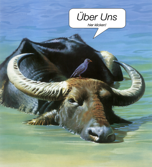 Über uns